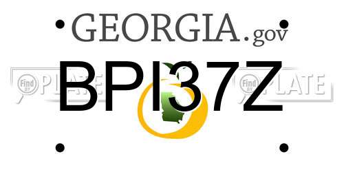 BPI37Z Georgia License Plate