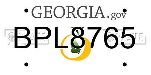 BPL8765 Georgia License Plate