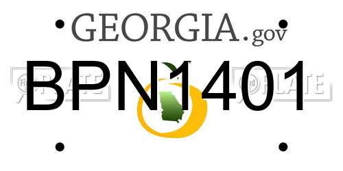 BPN1401 Georgia License Plate