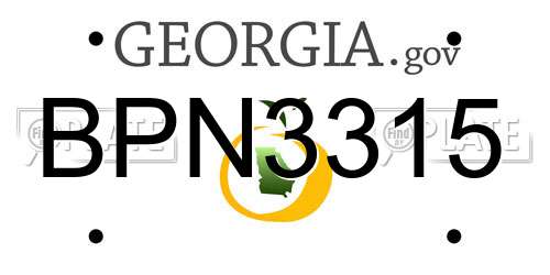 BPN3315 Georgia License Plate