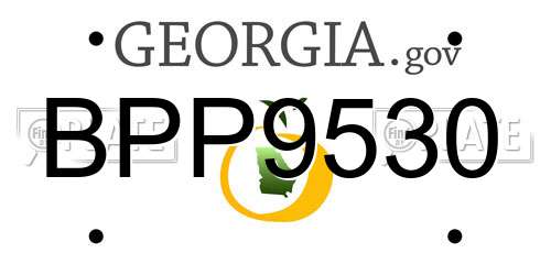 BPP9530 Georgia License Plate