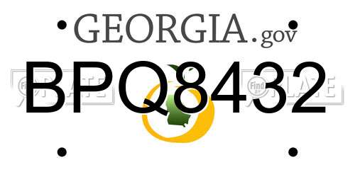 BPQ8432 Georgia License Plate
