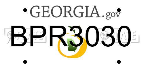 BPR3030 Georgia License Plate