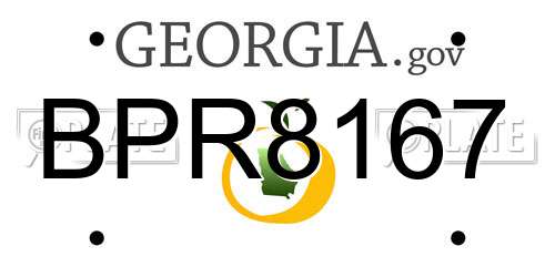 BPR8167 Georgia License Plate