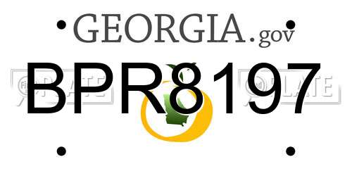 BPR8197 Georgia License Plate