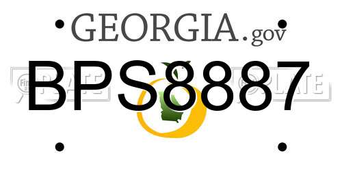 BPS8887 Georgia License Plate
