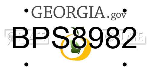 BPS8982 Georgia License Plate