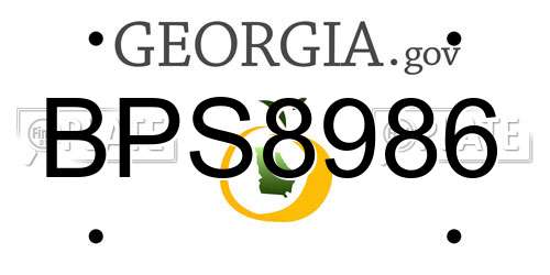 BPS8986 Georgia License Plate