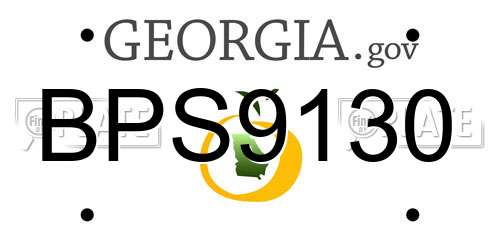 BPS9130 Georgia License Plate