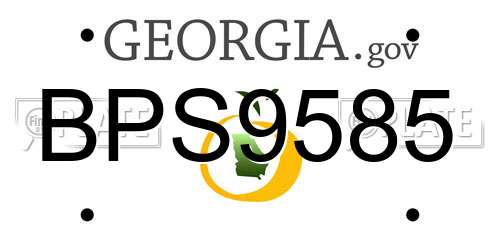 BPS9585 Georgia License Plate