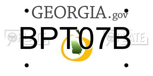BPT07B Georgia License Plate