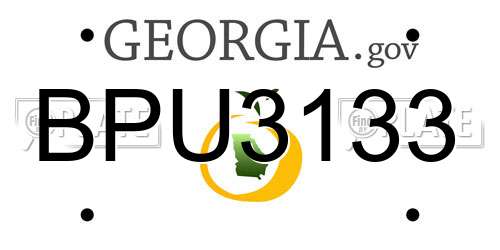 BPU3133 Georgia License Plate