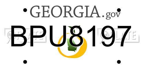 BPU8197 Georgia License Plate