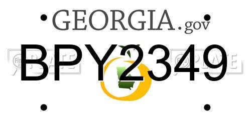 BPY2349 Georgia License Plate