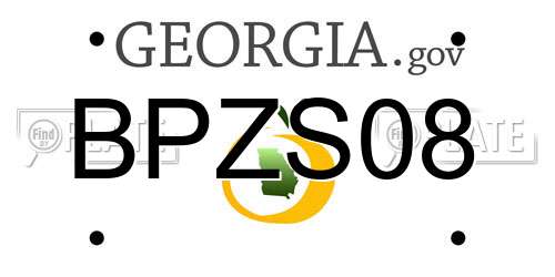 BPZS08 Georgia License Plate