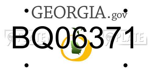 BQ06371 Georgia License Plate
