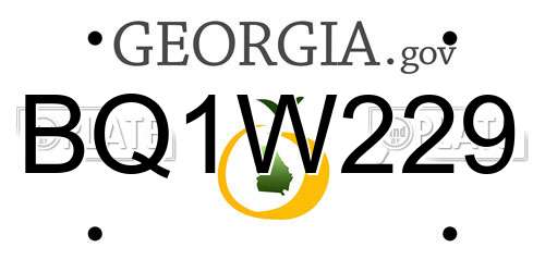 BQ1W229 Georgia License Plate
