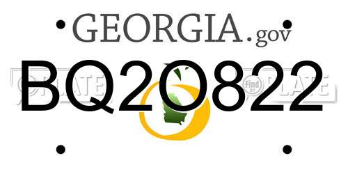BQ2O822 Georgia License Plate
