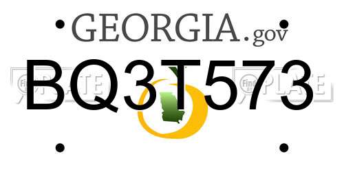 BQ3T573 Georgia License Plate