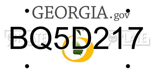 BQ5D217 Georgia License Plate