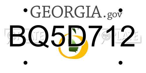 BQ5D712 Georgia License Plate