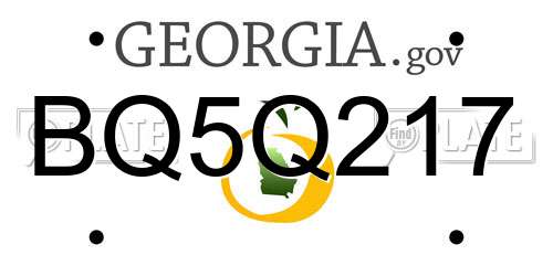 BQ5Q217 Georgia License Plate