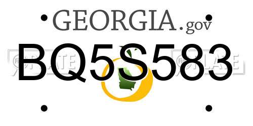 BQ5S583 Georgia License Plate