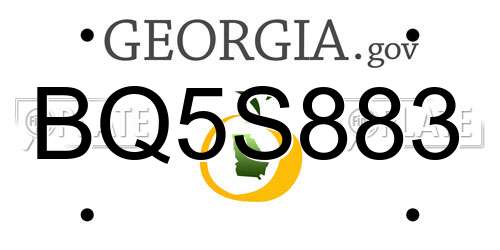 BQ5S883 Georgia License Plate