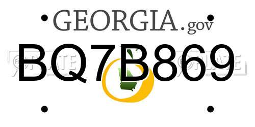 BQ7B869 Georgia License Plate