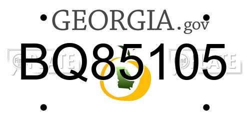 BQ85105 Georgia License Plate