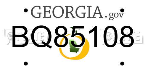 BQ85108 Georgia License Plate