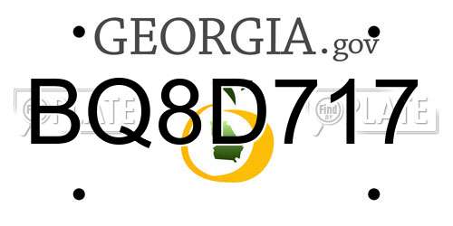 BQ8D717 Georgia License Plate