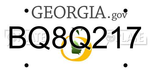 BQ8Q217 Georgia License Plate