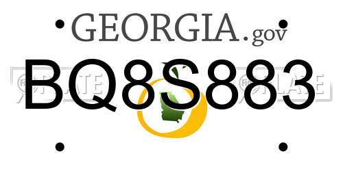 BQ8S883 Georgia License Plate