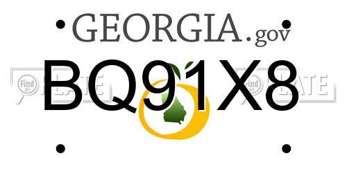 BQ91X8 Georgia License Plate