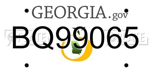 BQ99065 Georgia License Plate