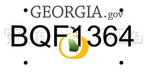 BQF1364 Georgia License Plate