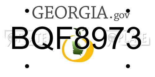BQF8973 Georgia License Plate