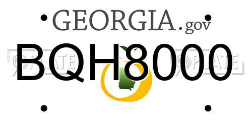 BQH8000 Georgia License Plate