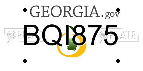 BQI875 Georgia License Plate