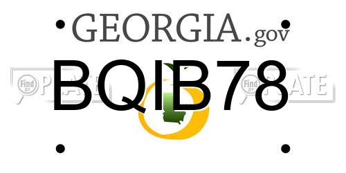 BQIB78 Georgia License Plate