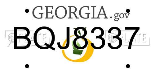 BQJ8337 Georgia License Plate