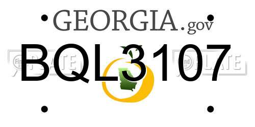 BQL3107 Georgia License Plate