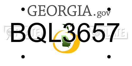 BQL3657 Georgia License Plate