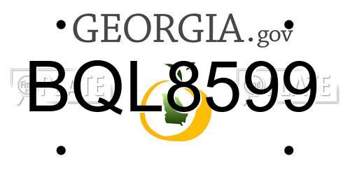 BQL8599 Georgia License Plate