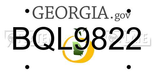 BQL9822 Georgia License Plate