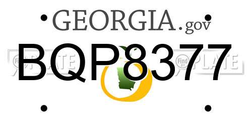 BQP8377 Georgia License Plate