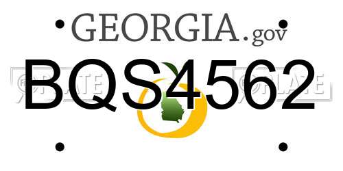 BQS4562 Georgia License Plate