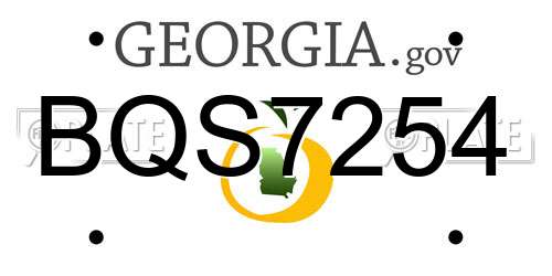 BQS7254 Georgia License Plate