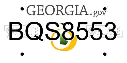 BQS8553 Georgia License Plate